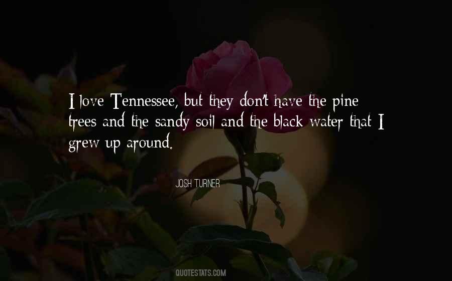 Pine Trees And Love Quotes #270024