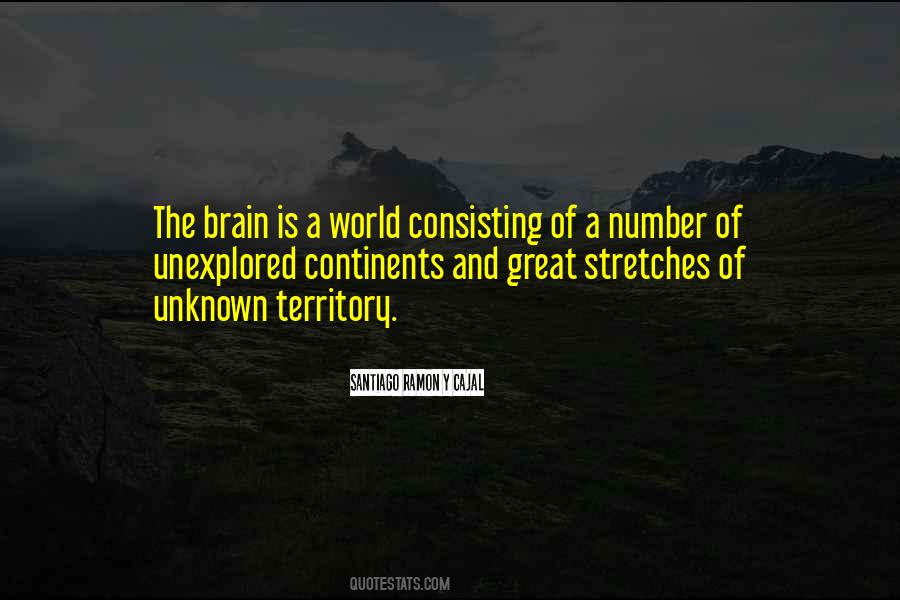 Great Unknown Quotes #1214711