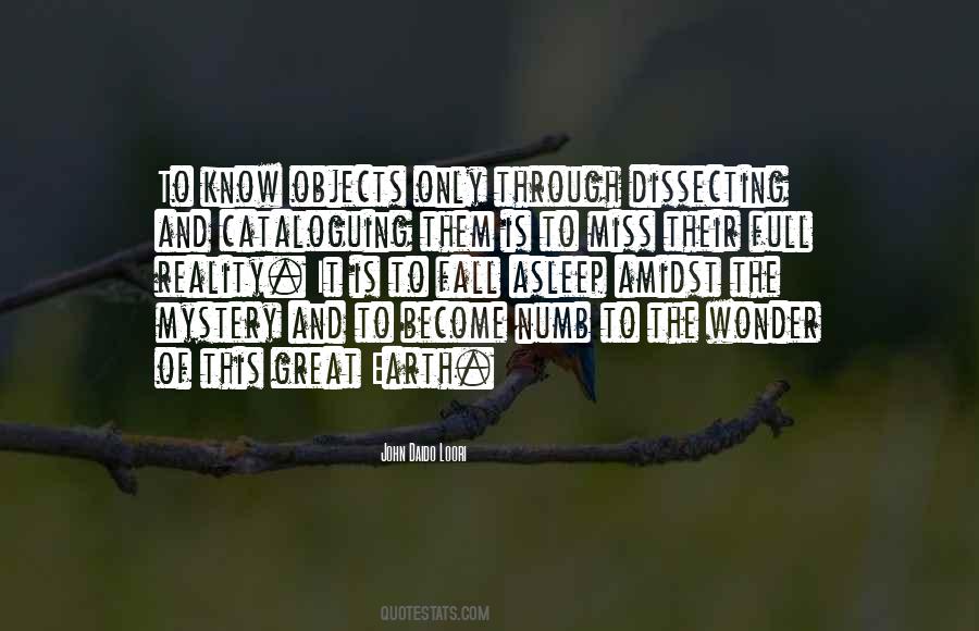 Wonder And Mystery Quotes #348013