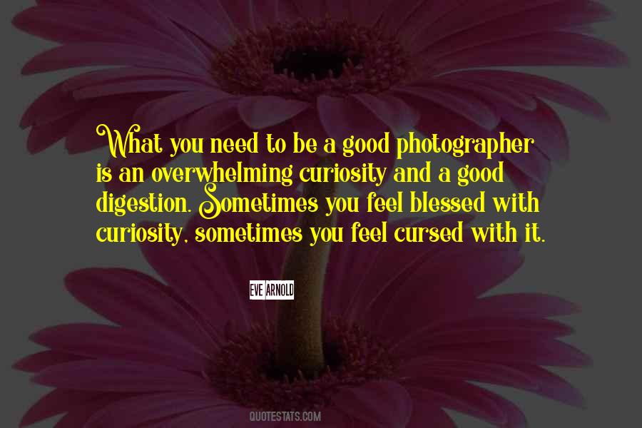 Quotes About A Good Photographer #107653