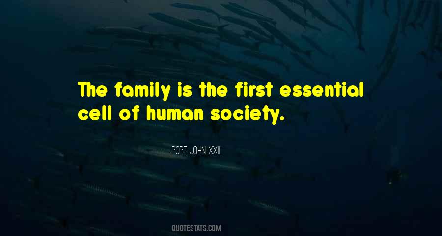 Quotes About Vadina #593223