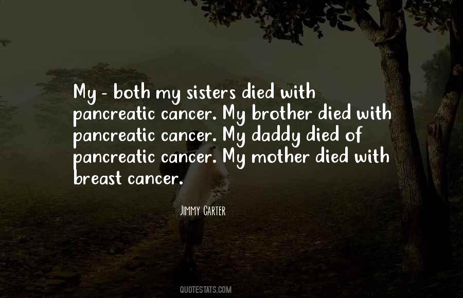 My Brother Died Quotes #665289