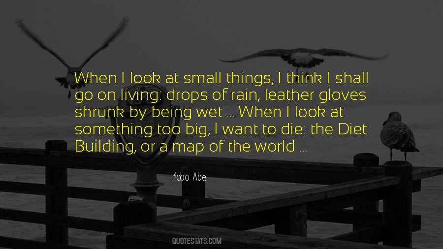 Quotes About Living In A Big World #324454