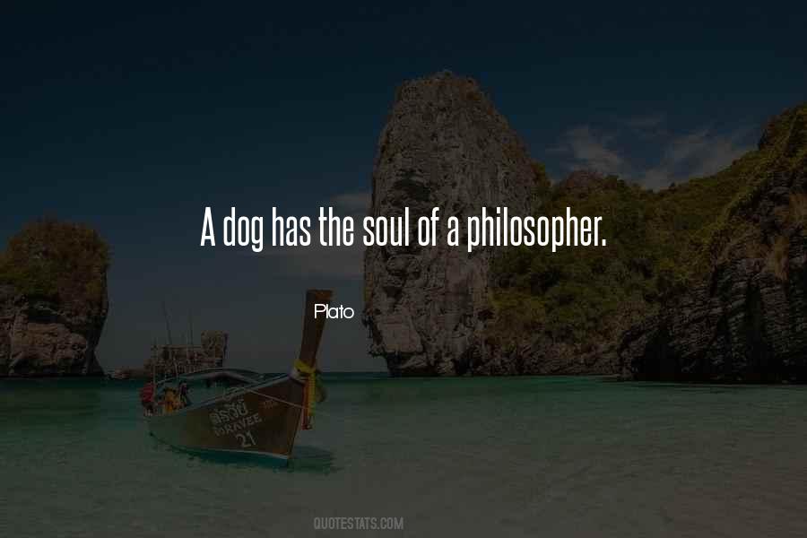 Quotes About The Love Of A Dog #1161859