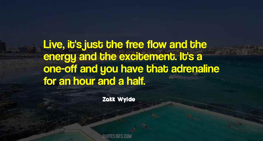 Quotes About Energy Flow #324895