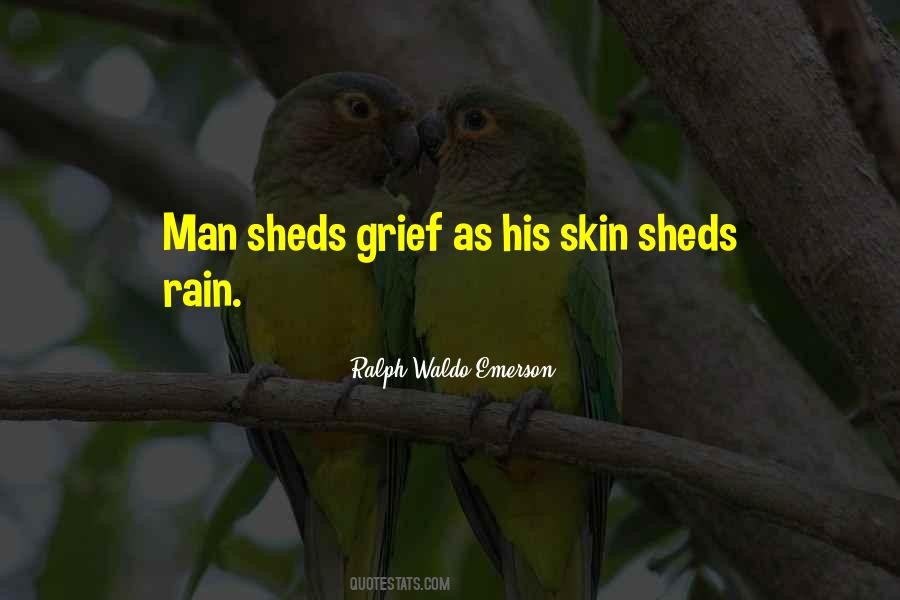 Quotes About Sheds #1320817