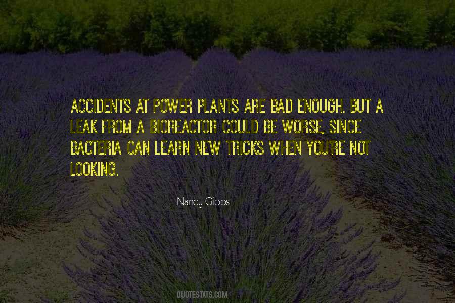 Quotes About Accidents #955446