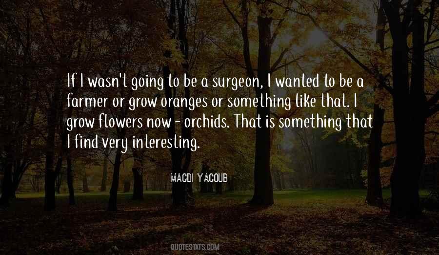 Quotes About Orchids #179492