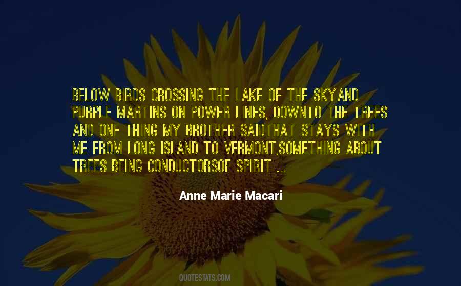 Rose With Raindrops Quotes #1675727