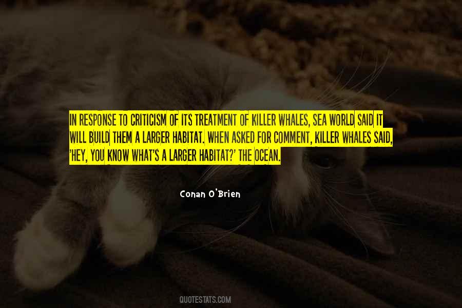 Quotes About Killer Whales #1376593