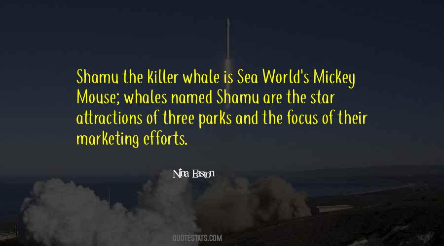 Quotes About Killer Whales #870261