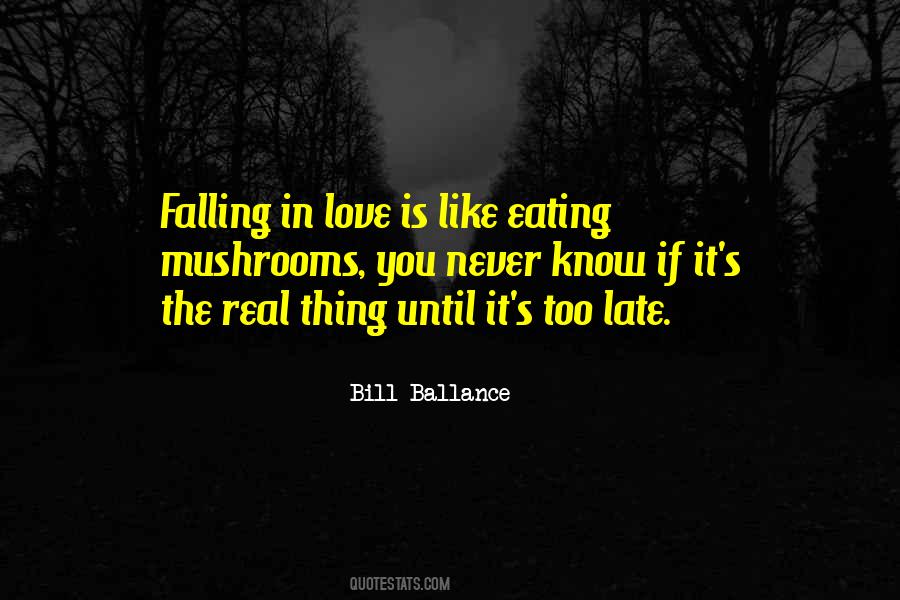 Quotes About Too Late Love #1044502