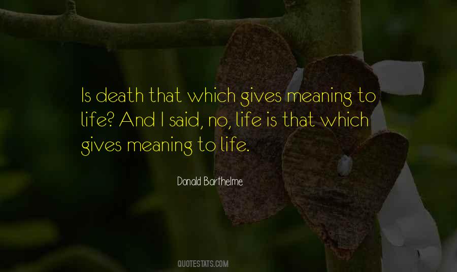 Quotes About Giving Life Meaning #196045