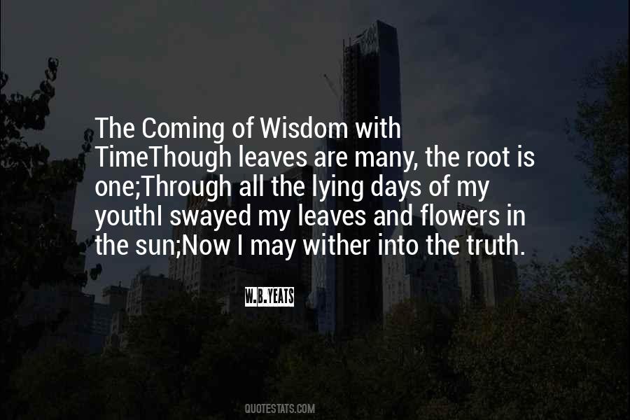 Quotes About Wisdom With Age #66632