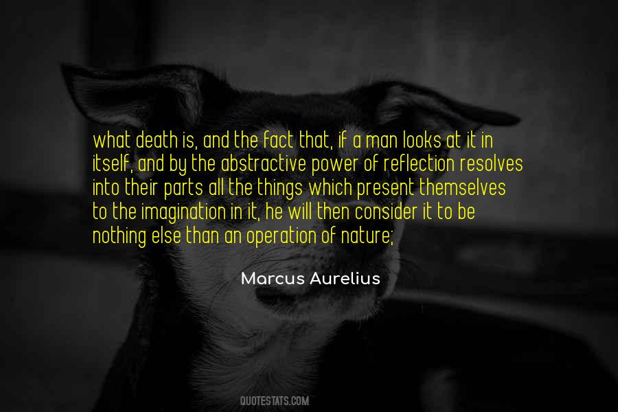 Quotes About The Nature Of Death #389678