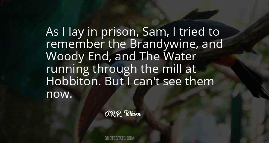 Lord Of The Rings Sam Quotes #55058