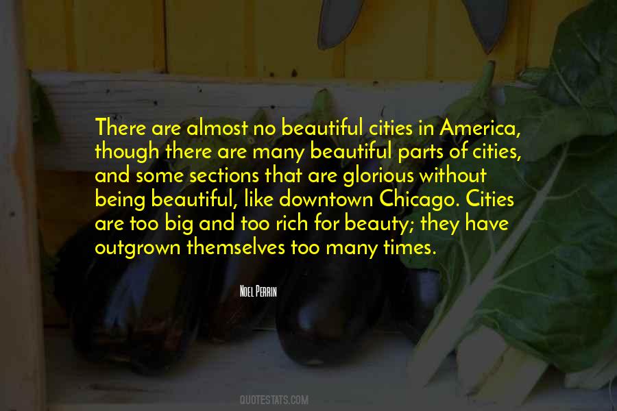 Quotes About Downtown Chicago #56803