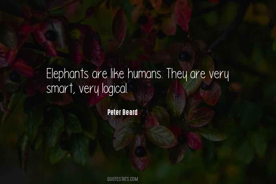 Very Smart Quotes #1241556