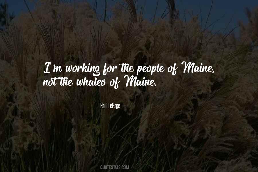 Quotes About Whales #1037747