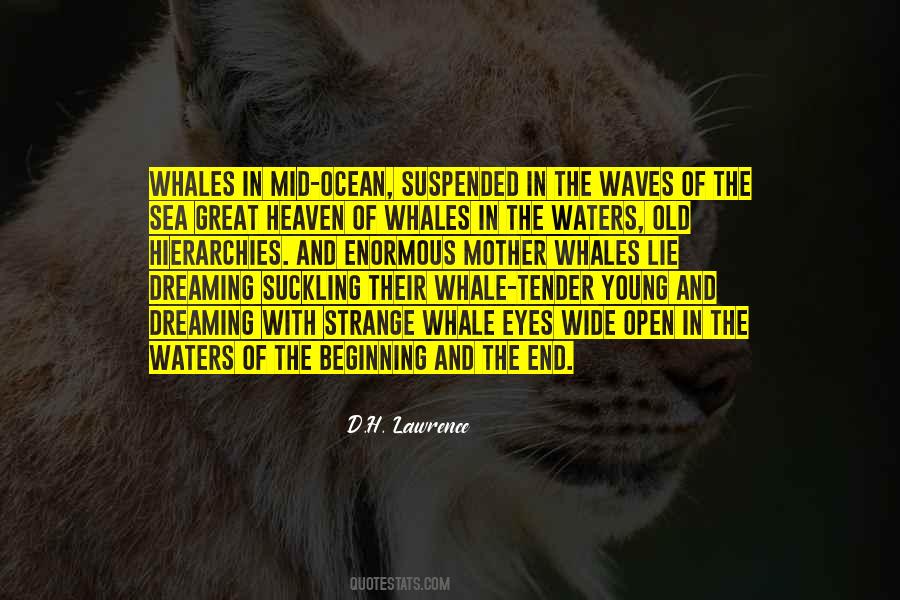 Quotes About Whales #126224