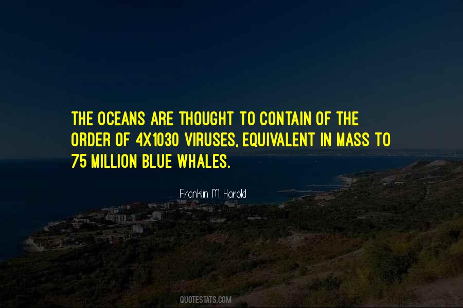 Quotes About Whales #779804