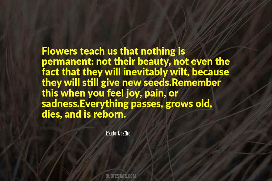 Quotes About Seeds And Flowers #1483920