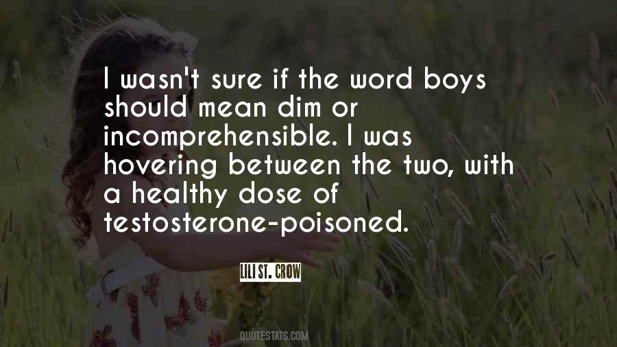 Quotes About Testosterone #626045