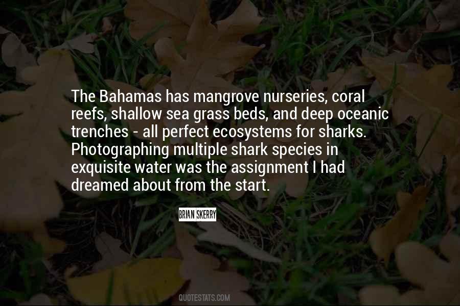 Quotes About Bahamas #1196676