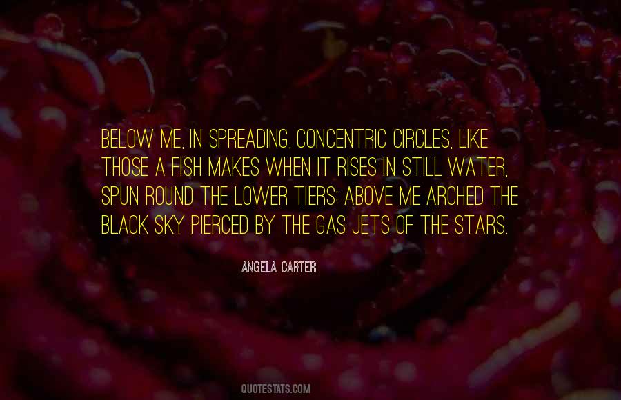 Quotes About Concentric Circles #1488004