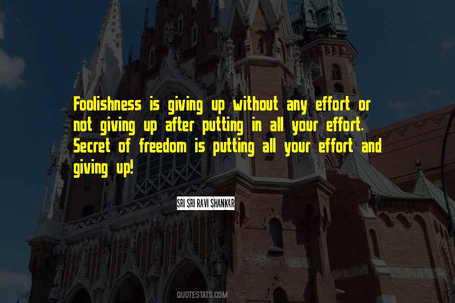 Quotes About Giving An Effort #100784