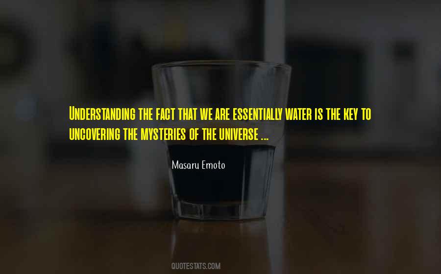 Quotes About Understanding The Universe #147429