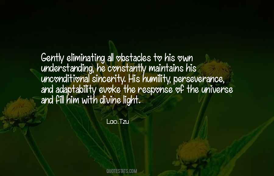 Quotes About Understanding The Universe #756694