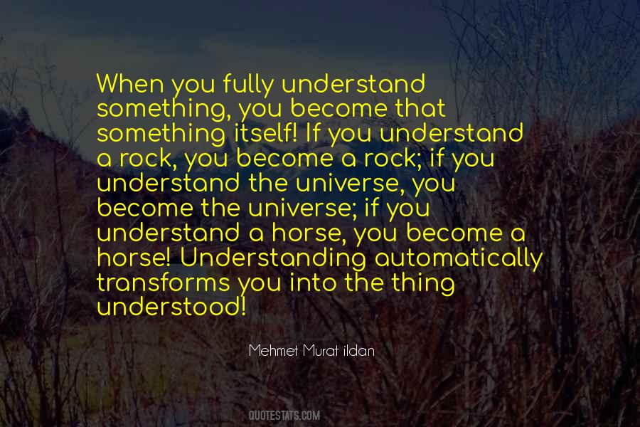 Quotes About Understanding The Universe #961101