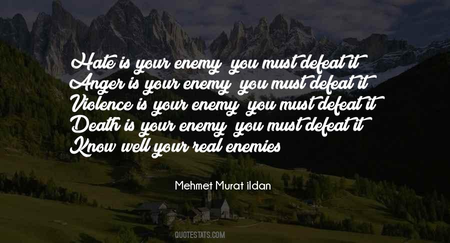 Real Enemies Quotes #213308