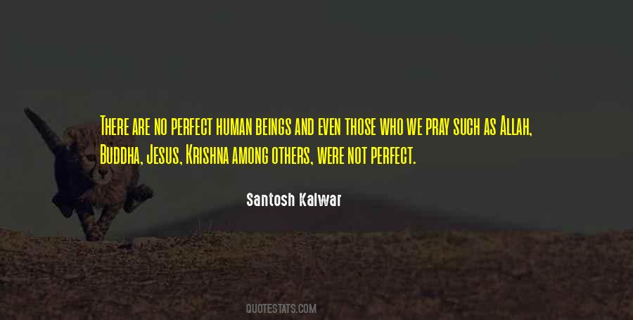 Quotes About Were Not Perfect #1001057