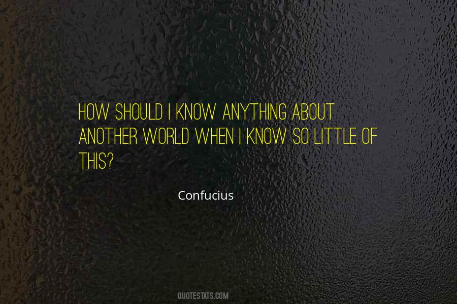Know So Little Quotes #1799132