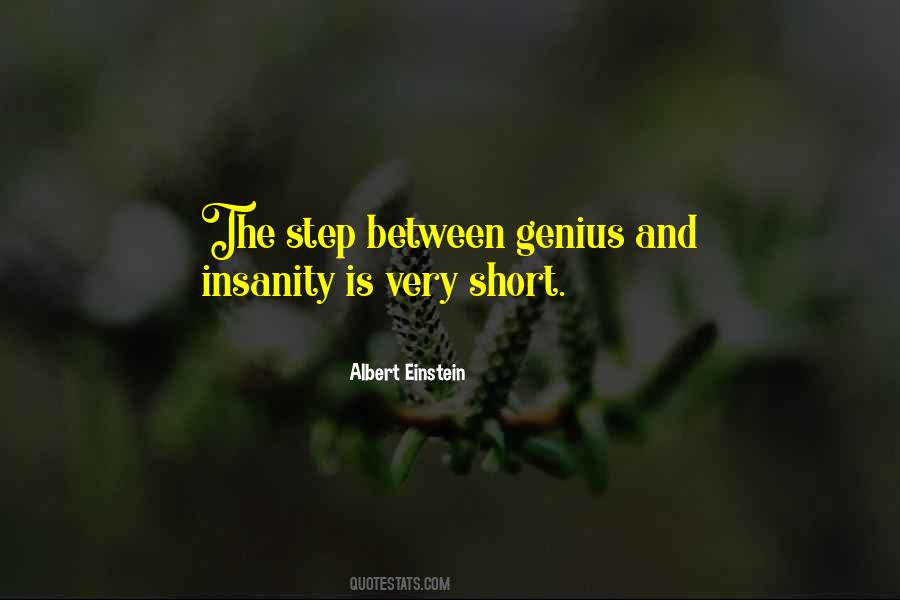 Quotes About Genius Einstein #1102305