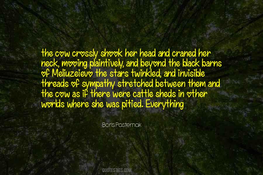 Quotes About Sympathy #10648 Quotes About Sympathy #10648