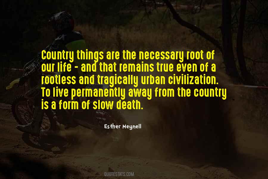 Quotes About Slow Death #956486