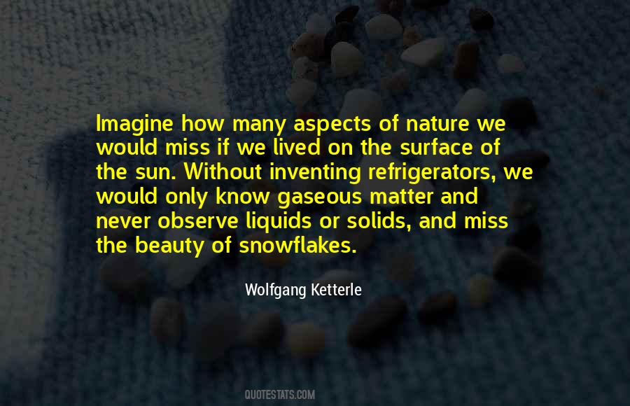 Ketterle Quotes #1831348