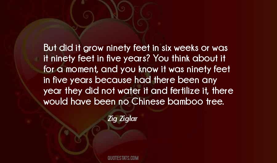 Quotes About Bamboo #141716