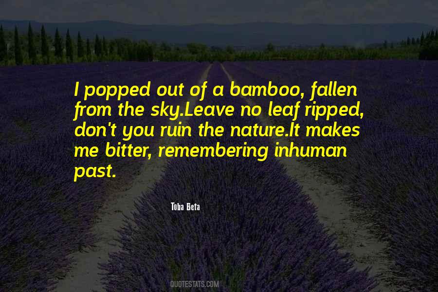 Quotes About Bamboo #1499319