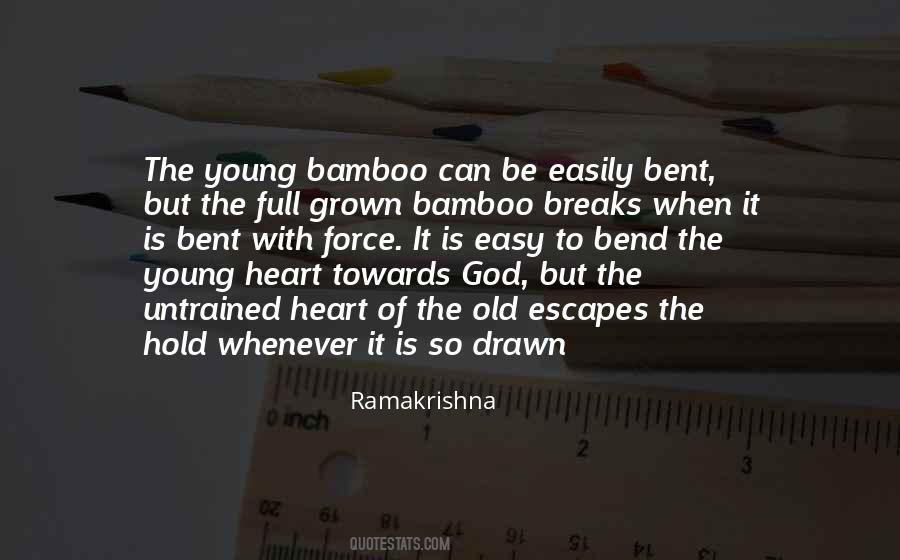 Quotes About Bamboo #1761256