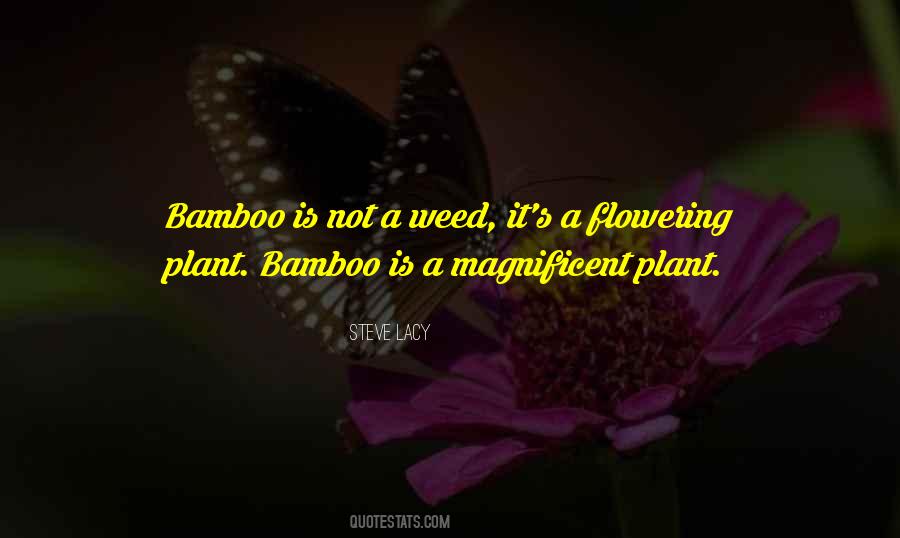 Quotes About Bamboo #1835189