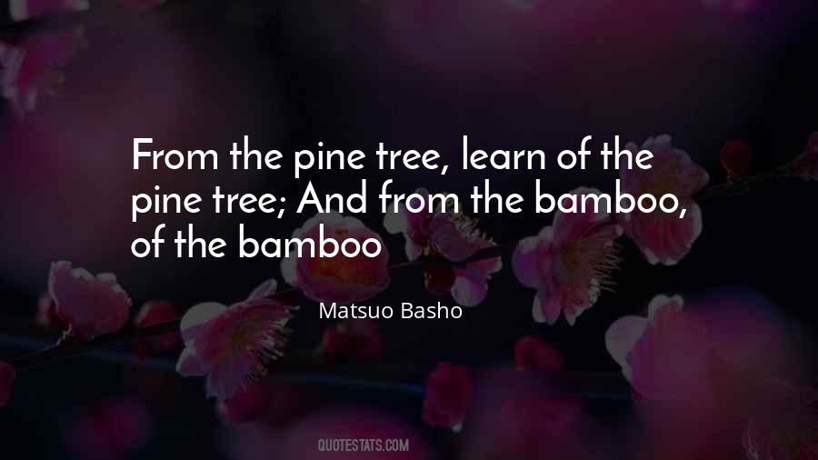 Quotes About Bamboo #209372