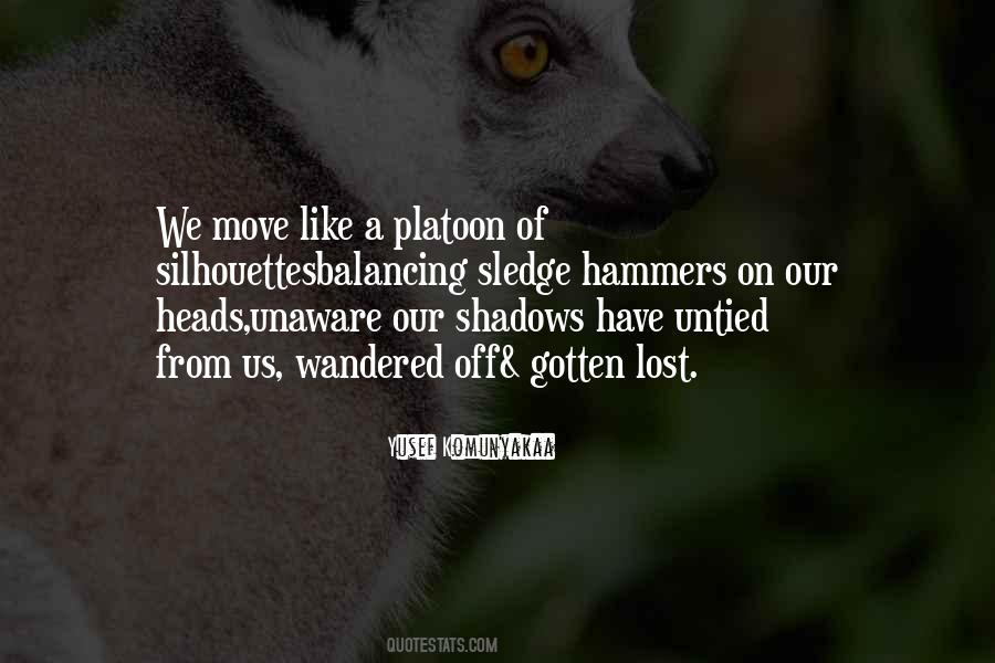 Quotes About Our Shadows #308924