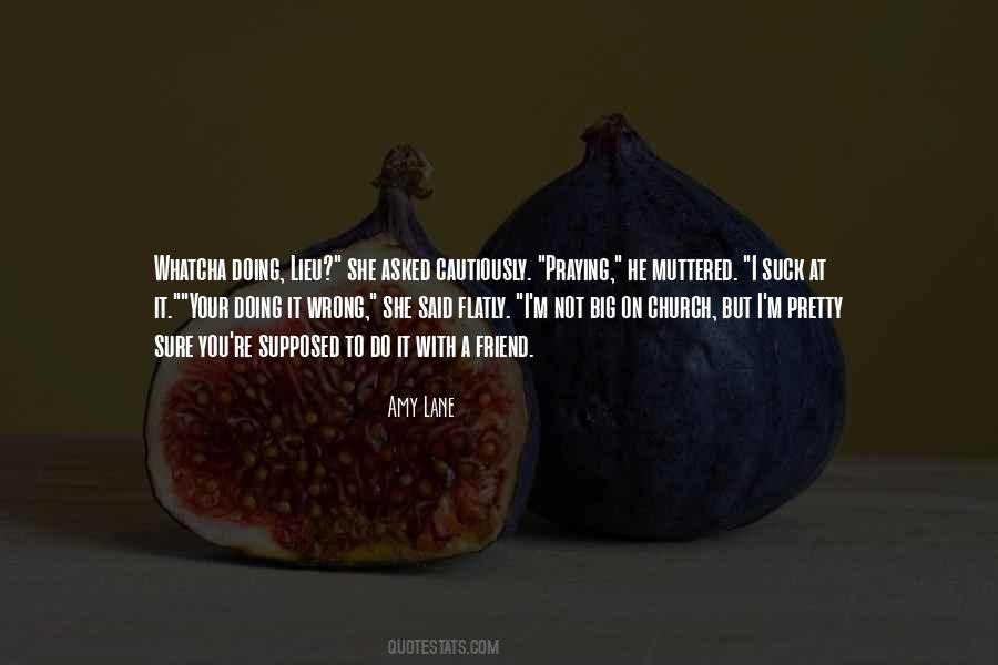 Quotes About Doing It Wrong #53712