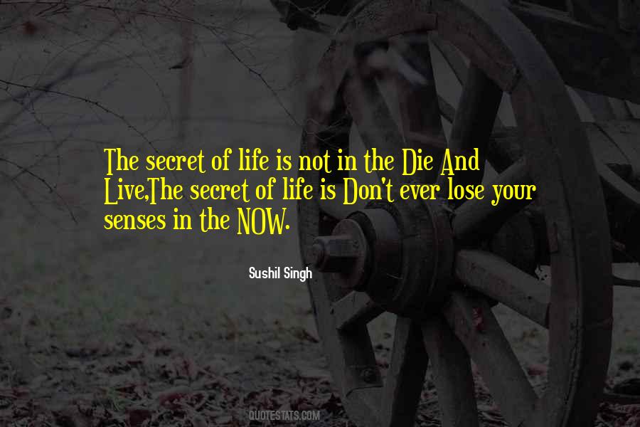 Senses Of The The Soul Quotes #1343819