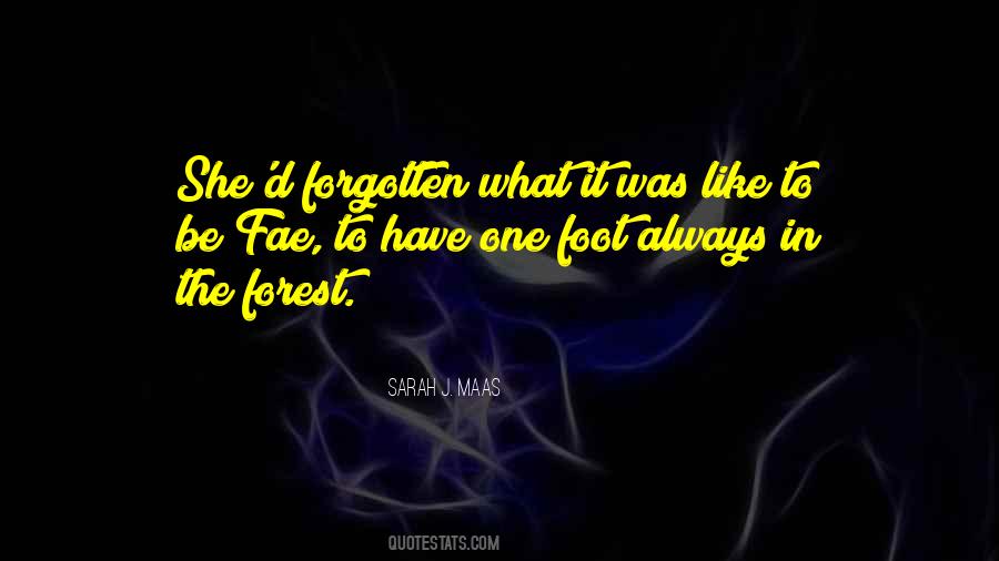 Always Forgotten Quotes #904663