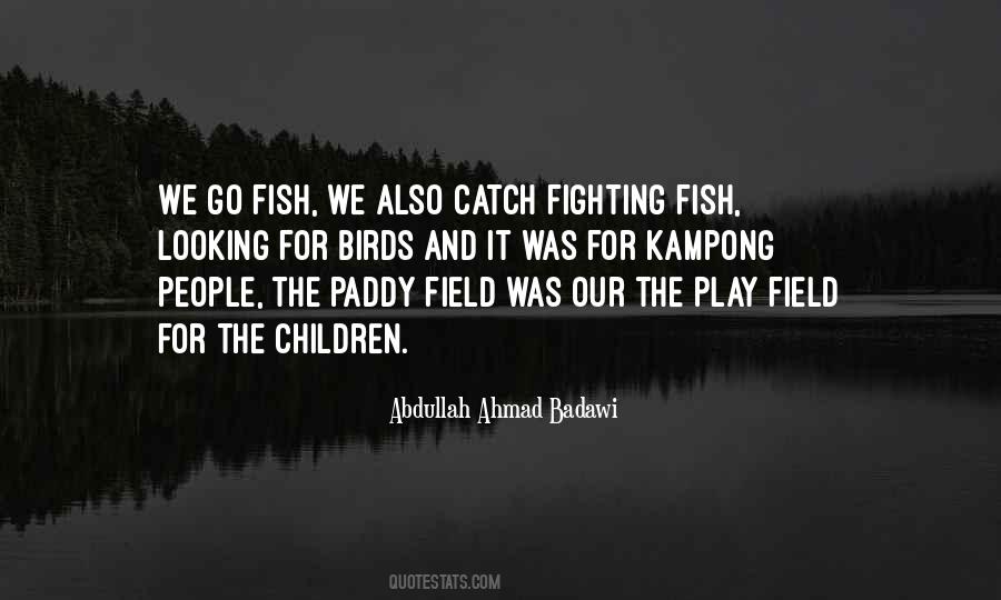 Quotes About Play Fighting #633470